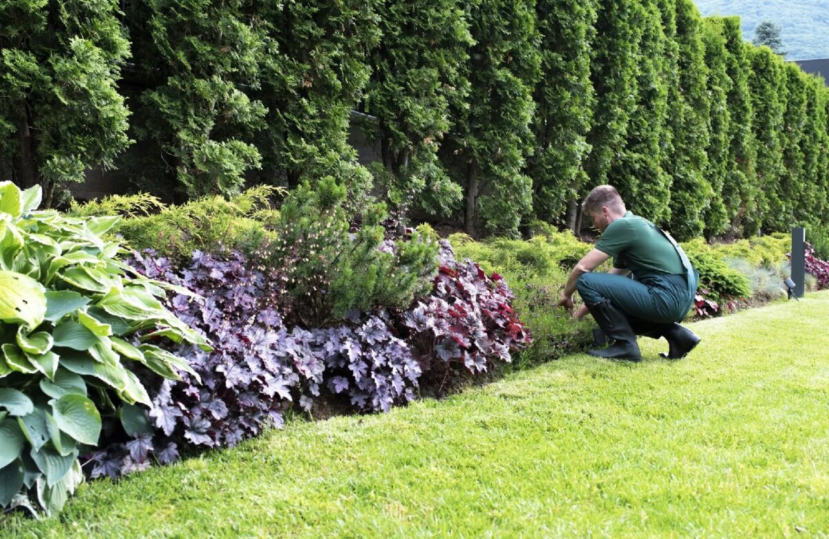 Garden Maintenance Tips For Each Season Of The Year