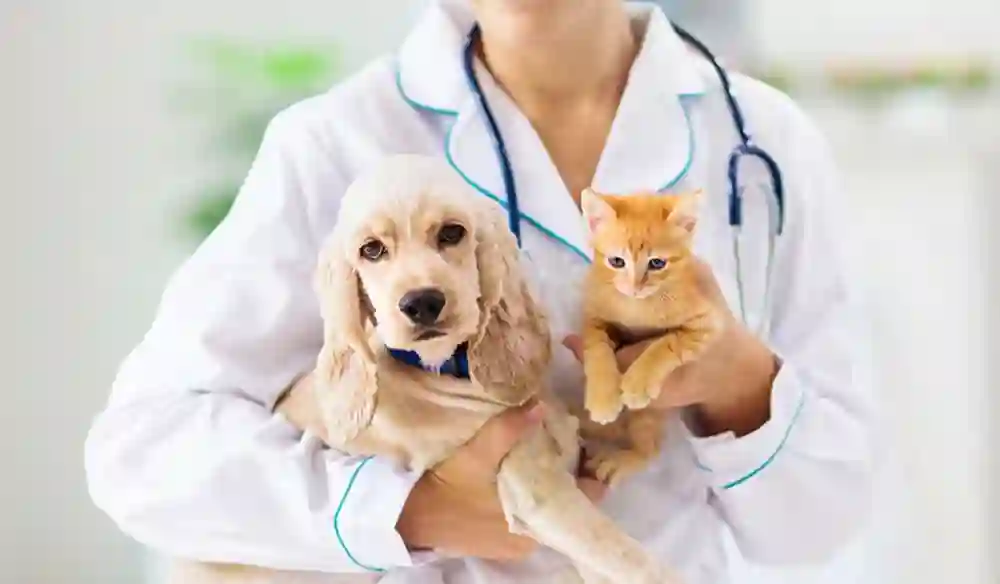 The Importance of Regular Vet Visits for Your Pet’s Health