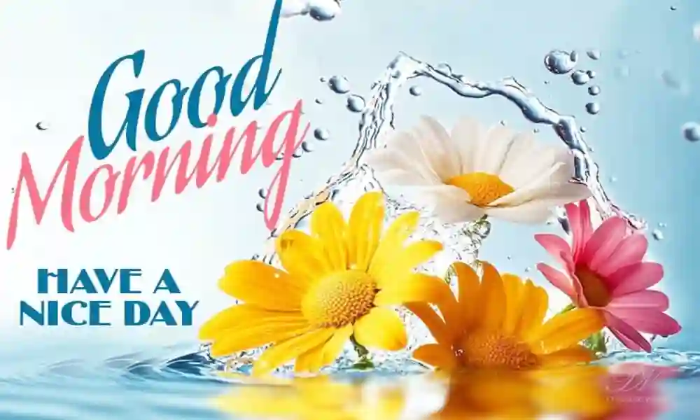 Good Morning Have a Great Day – Good Morning Have a Nice Day Wishes